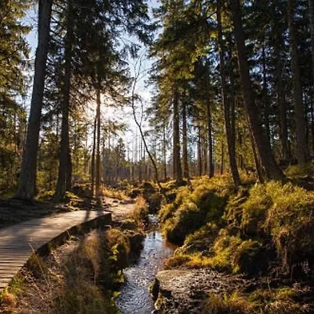 Apartmán Harzer Engelchen I Direkt Am Wanderweg I Privater Parkplatz Braunlage